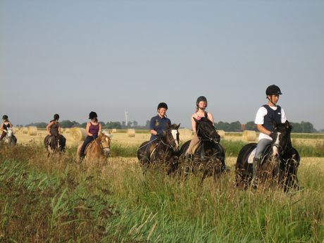 Eine Gruppe Reiter in Ostfriesland