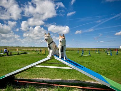 Urlaub mit dem Hund im Agility Park Ostfriesland