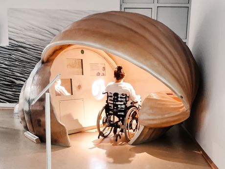 Das Foto zeigt eine Rollstuhlfahrerin in einer Edutainment Muschel im Nationalpark-Haus in Greetsiel