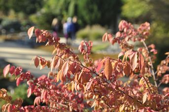 Sonderöffnung: Herbstimpressionen im Park