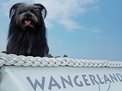 Der schwarze Teddyhund Sputnik sitzt auf einem Strandkorb im Wangerland