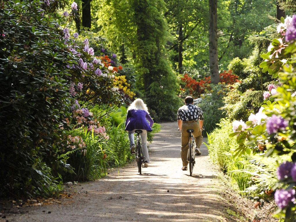 Fahrradfahrer auf einem Weg im Rhododendronpark in Wiefelstede-Gristede