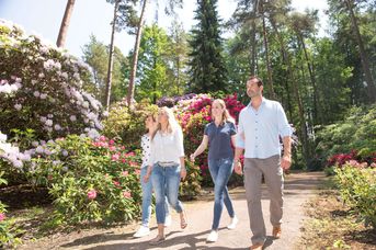 Impressionen im Rhododendronpark Bruns