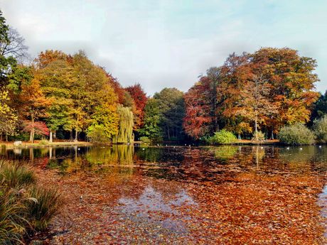 Herbst in Ostfriesland