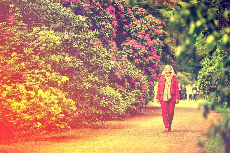 Altes Foto einer Frau, die durch einen Rhodopark spaziert