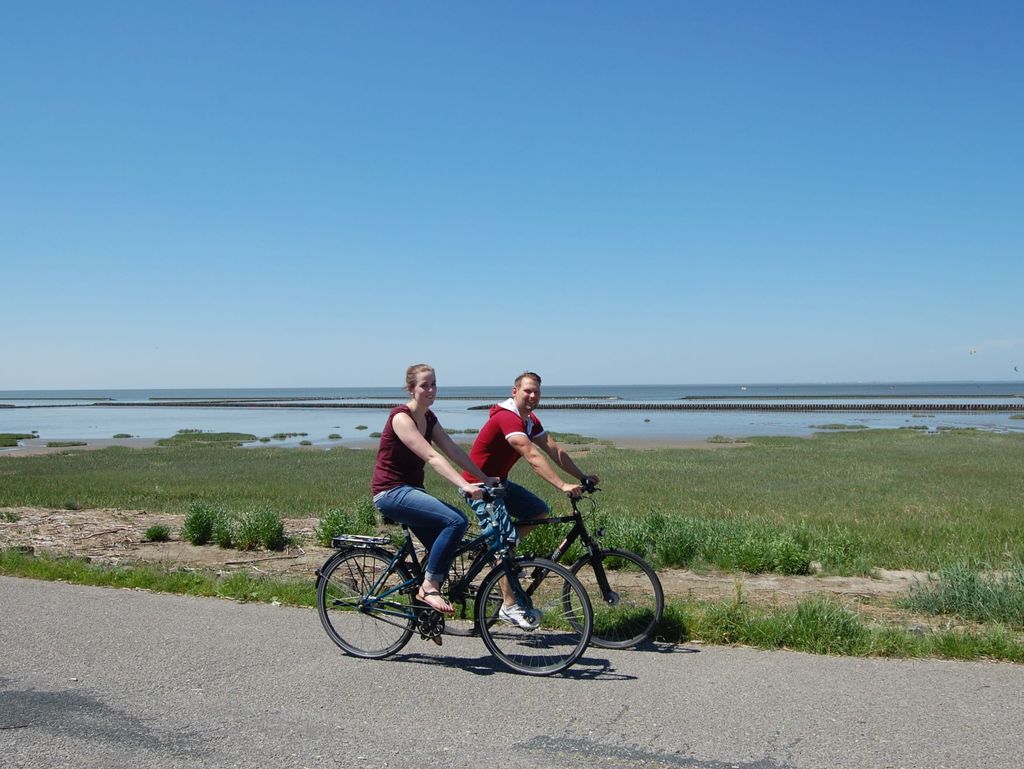 Radfahrer auf der Friesenroute in Norddeich entlang des Wattenmeeres