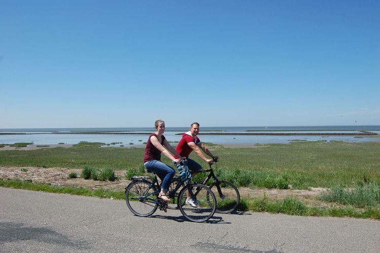 Radfahrer auf der Friesenroute in Norddeich entlang des Wattenmeeres