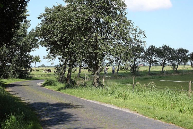 Fahrradfahrer auf der Straße in Mitten einer Grünen Landschaft