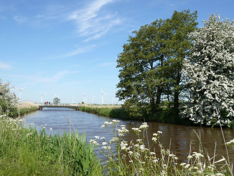 Kanal in Bockhorn mit Brücke
