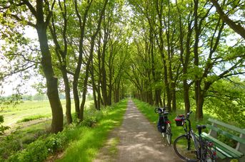 Ostfriesland - Wanderweg (97 km)