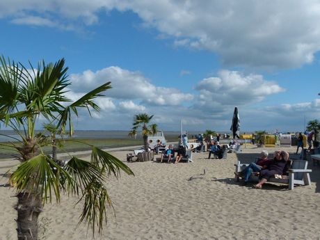 Palmen und Holzbänke am Strand von Dangast