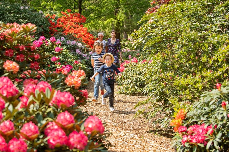 Spazierende Familie im Rhododendronpark in Westerstede